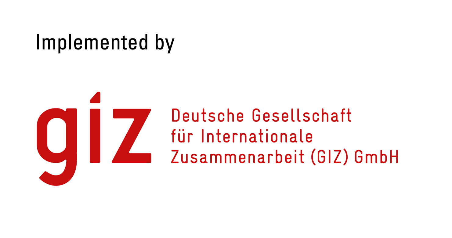 GIZ Logo
